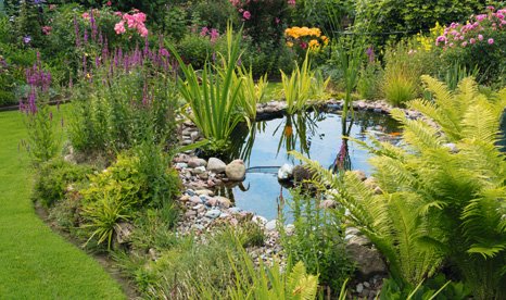 Gartenteich mit Seerosen