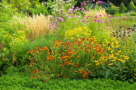 Blüten für Wildbienen