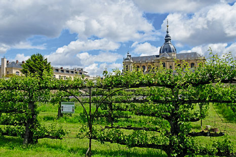 Schloss von Versailles