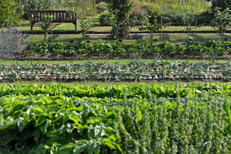 Royal Botanic Gardens, Kew