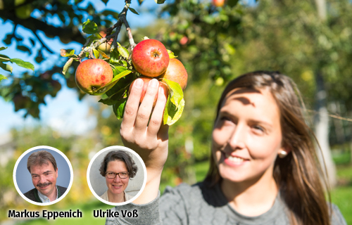 Obst für den Winter einlagern