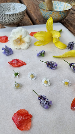 Kandierte Blüten - Vorbereitung