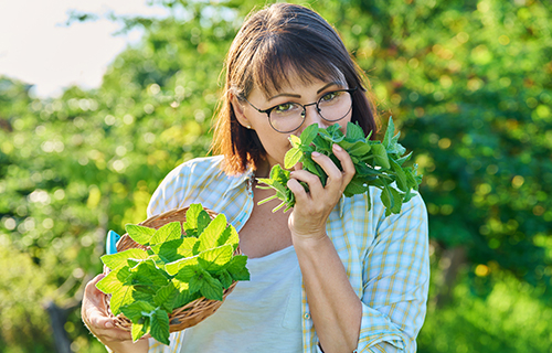 Frau riecht an duftender Minze im Garten
