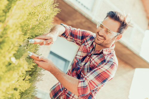 Tipps für Recht, Garten und Haus