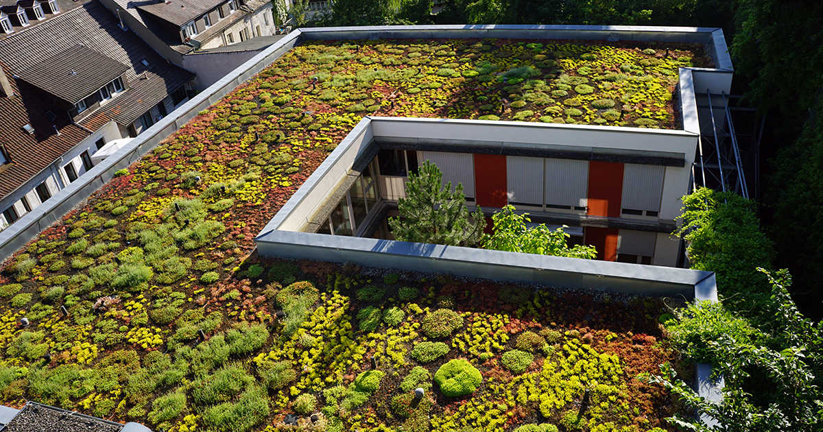 Dachbegrünung Natürliche Klimaanlage fürs Haus