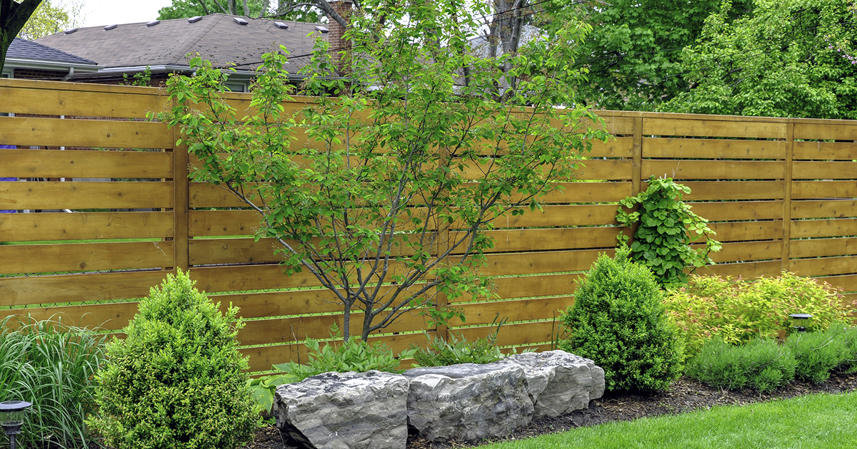 Der Grenzabstand von Pflanzen