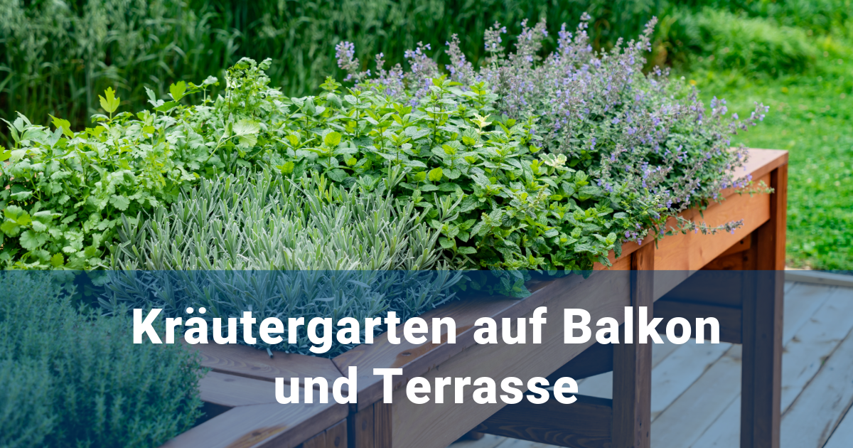 Kräutergarten auf Balkon und Terrasse