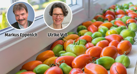 Ernten oder stehen lassen? Ernten oder stehen lassen?